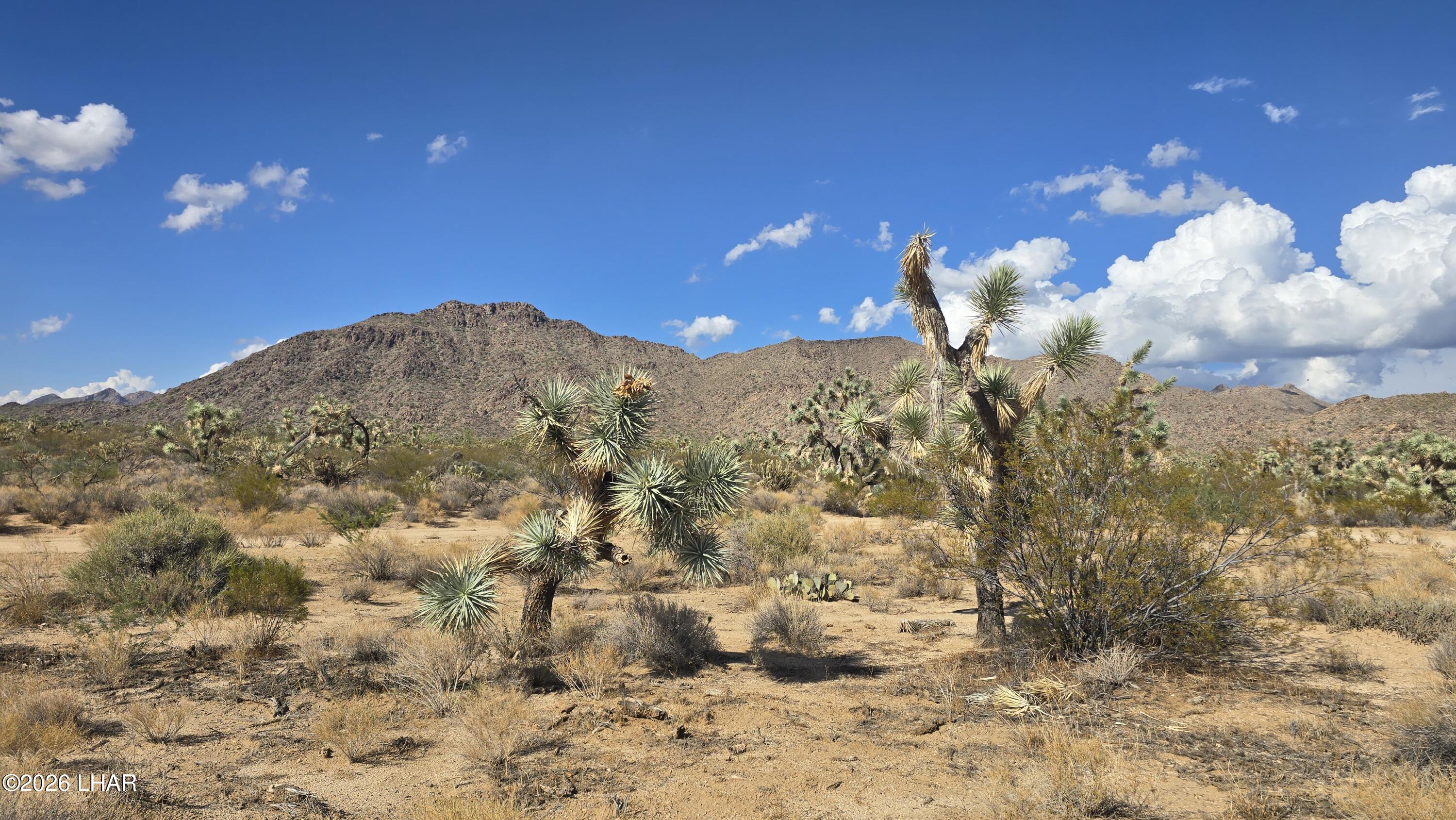 208-27196d South Kinard Road Yucca, AZ 86438 - Photo 31 of 40 20260831_160610