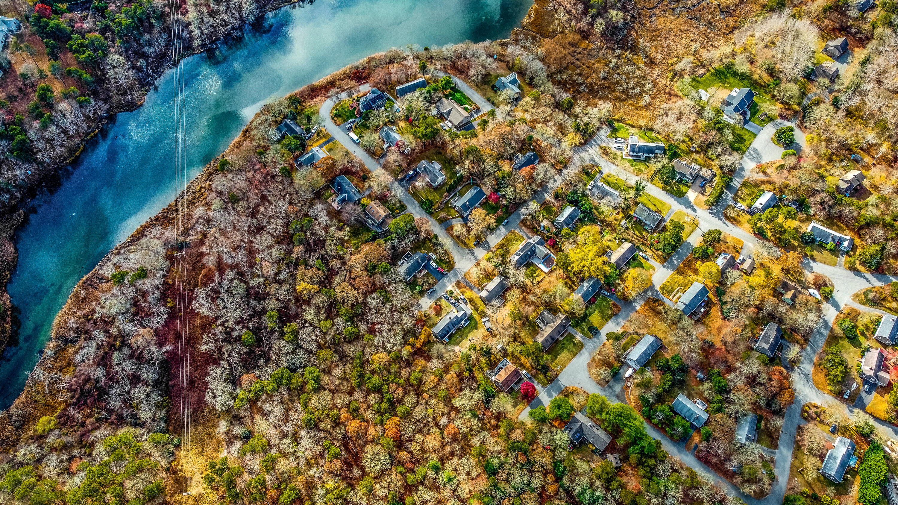 3 Tern Road Harwich, MA 02645 - Photo 3 of 44 a view of a plants