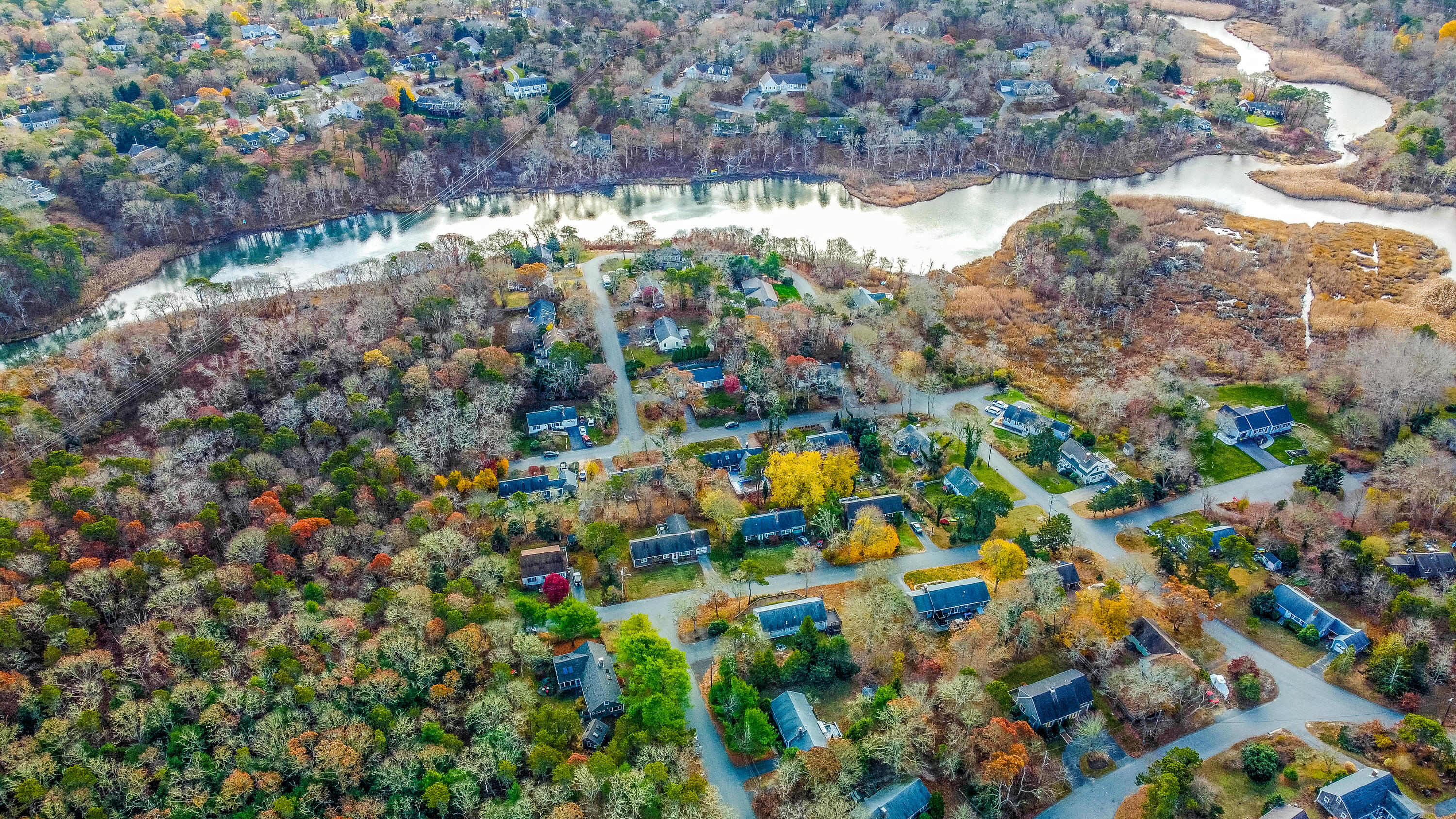 3 Tern Road Harwich, MA 02645 - Photo 40 of 44 a view of a tree with a yard