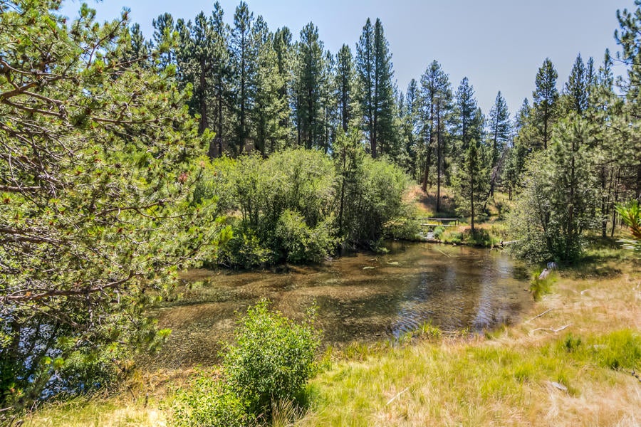 56864 Besson Road Bend, OR 97707 - Photo 38 of 38 Besson Rd 56864 Web (40 of 40)