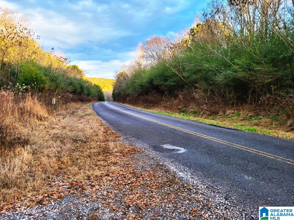 2194 County Road 818 Logan, AL 35098 - Photo 5 of 8