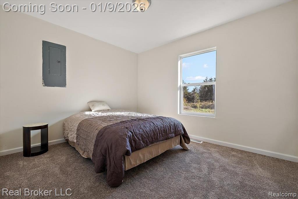 6640 Lemon Road Bancroft, MI 48414 - Photo 22 of 39