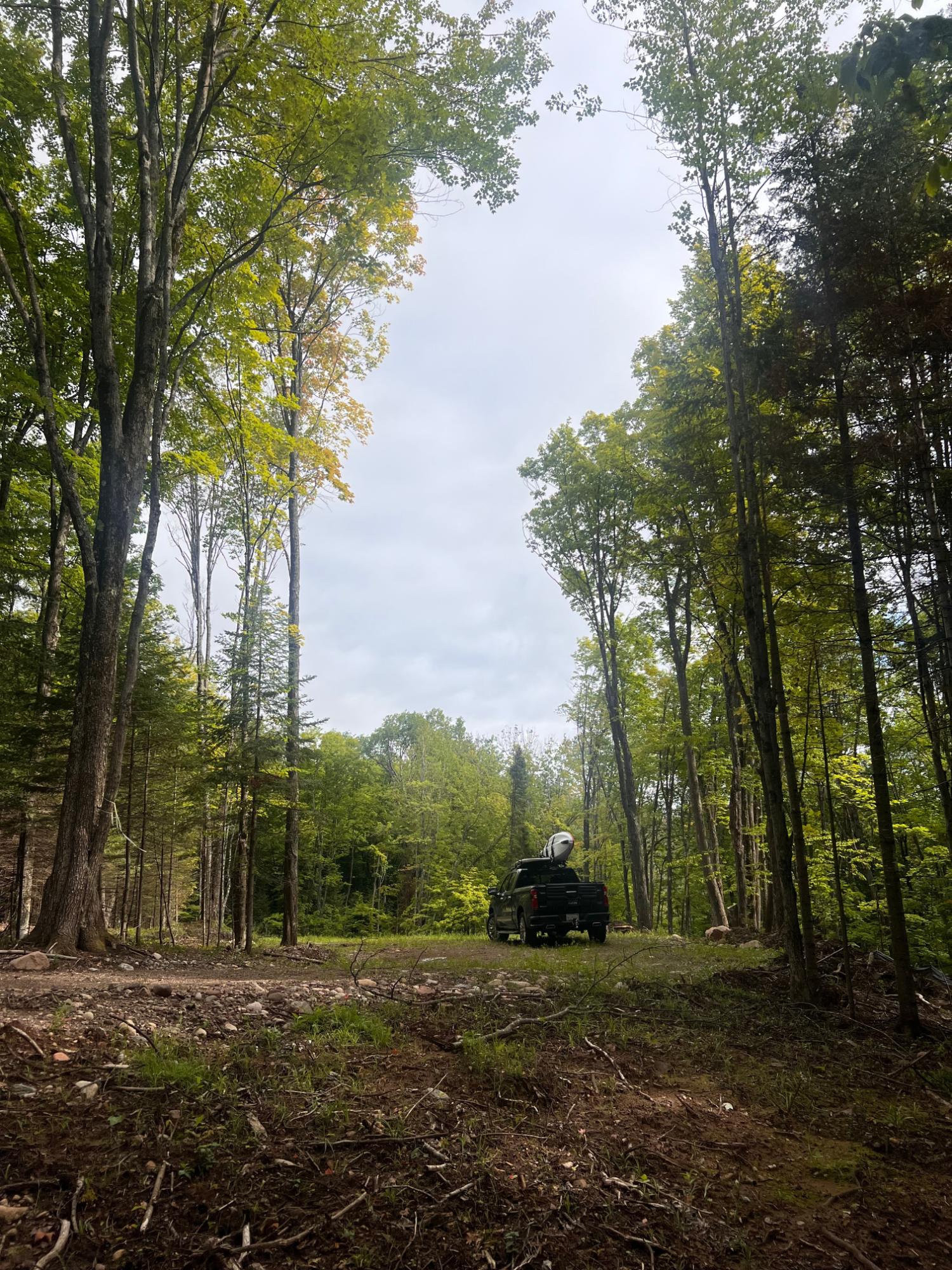Off West Birch Lake Road, Unit LOT 1 Presque Isle, WI 54557 - Photo 5 of 10 Gallery Image 5