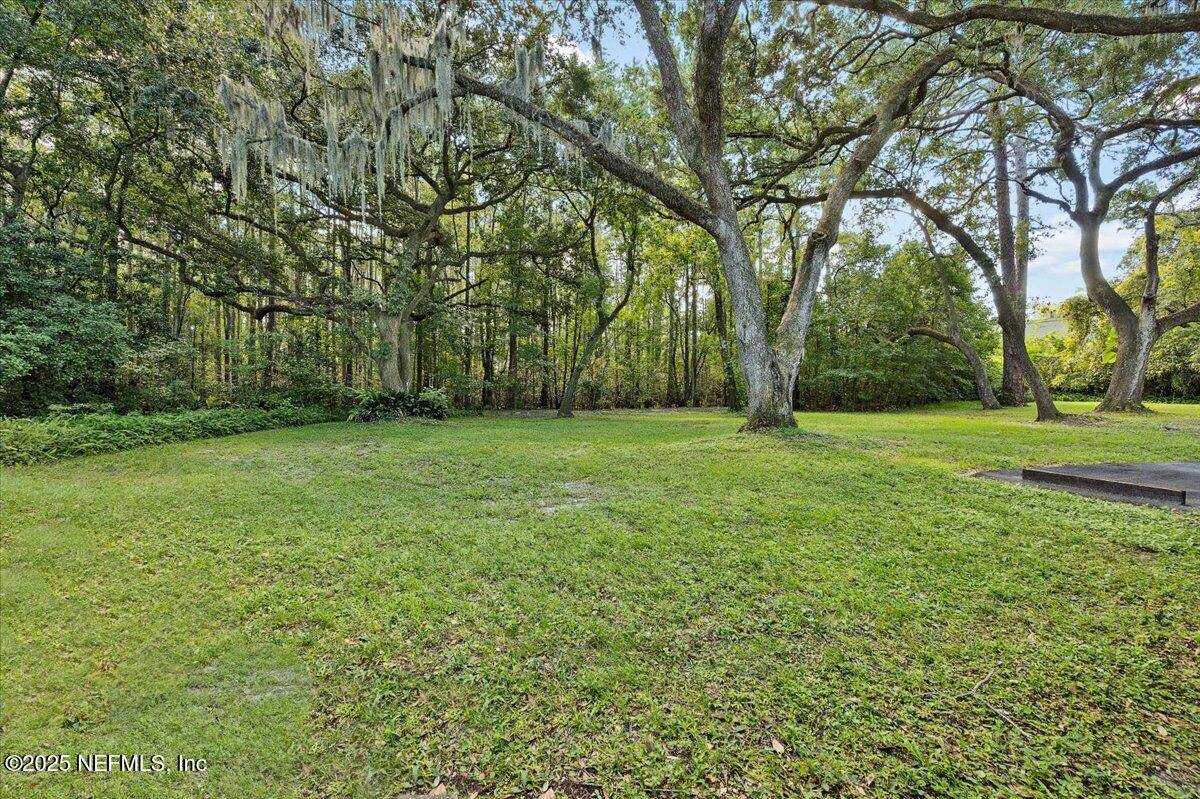 10567 Scott Mill Road Jacksonville, FL 32257 - Photo 20 of 28 a view of a grassy field with trees