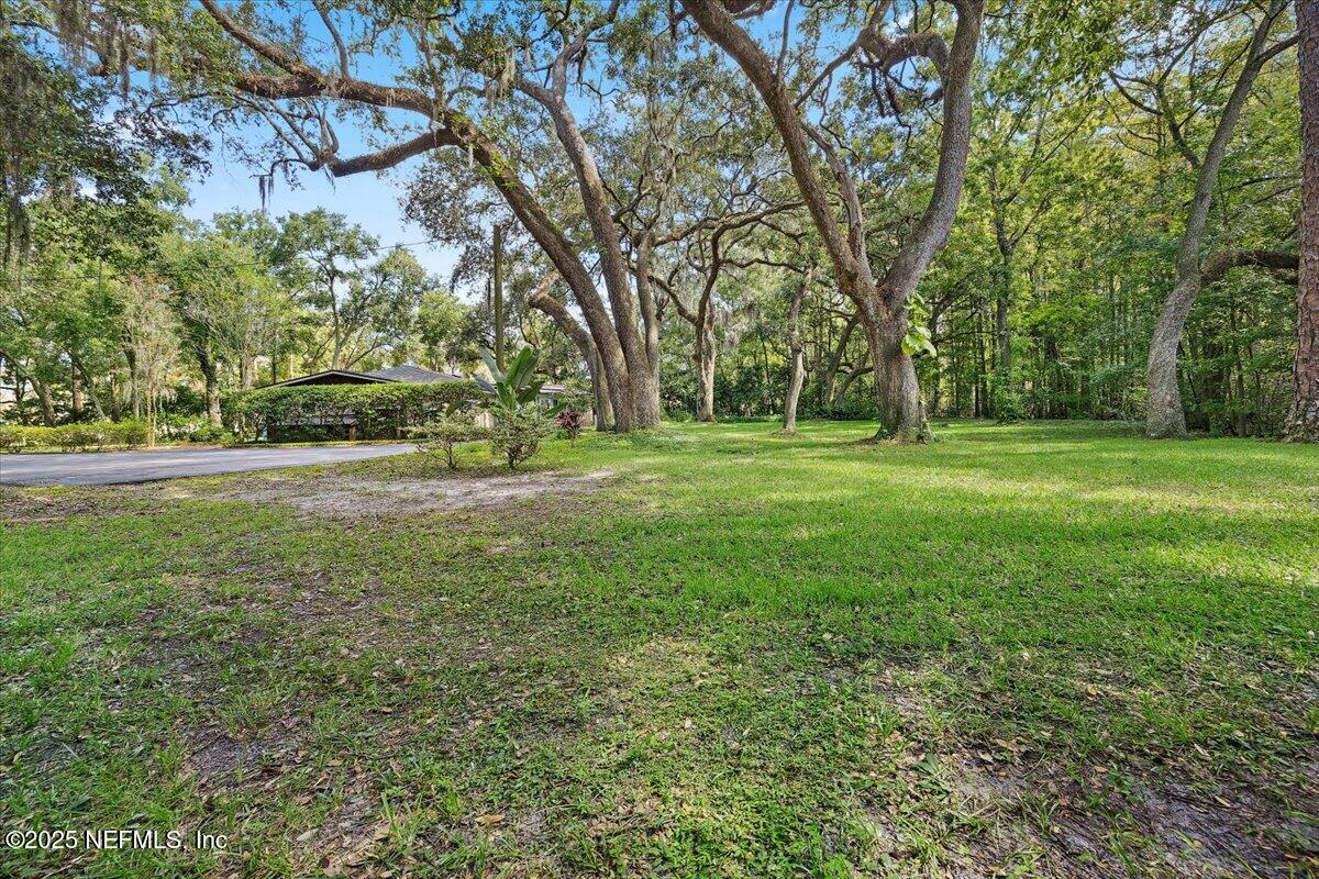 10567 Scott Mill Road Jacksonville, FL 32257 - Photo 24 of 28 a view of a big yard with plants and large trees