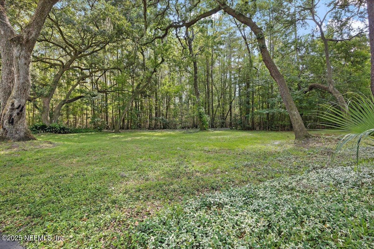 10567 Scott Mill Road Jacksonville, FL 32257 - Photo 25 of 28 a view of a grassy field with trees