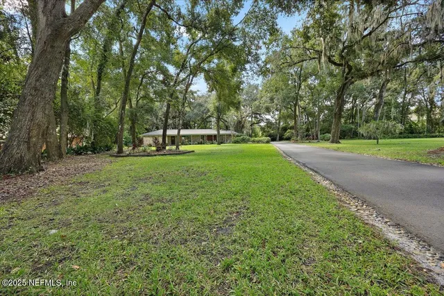 a view of a park with large trees