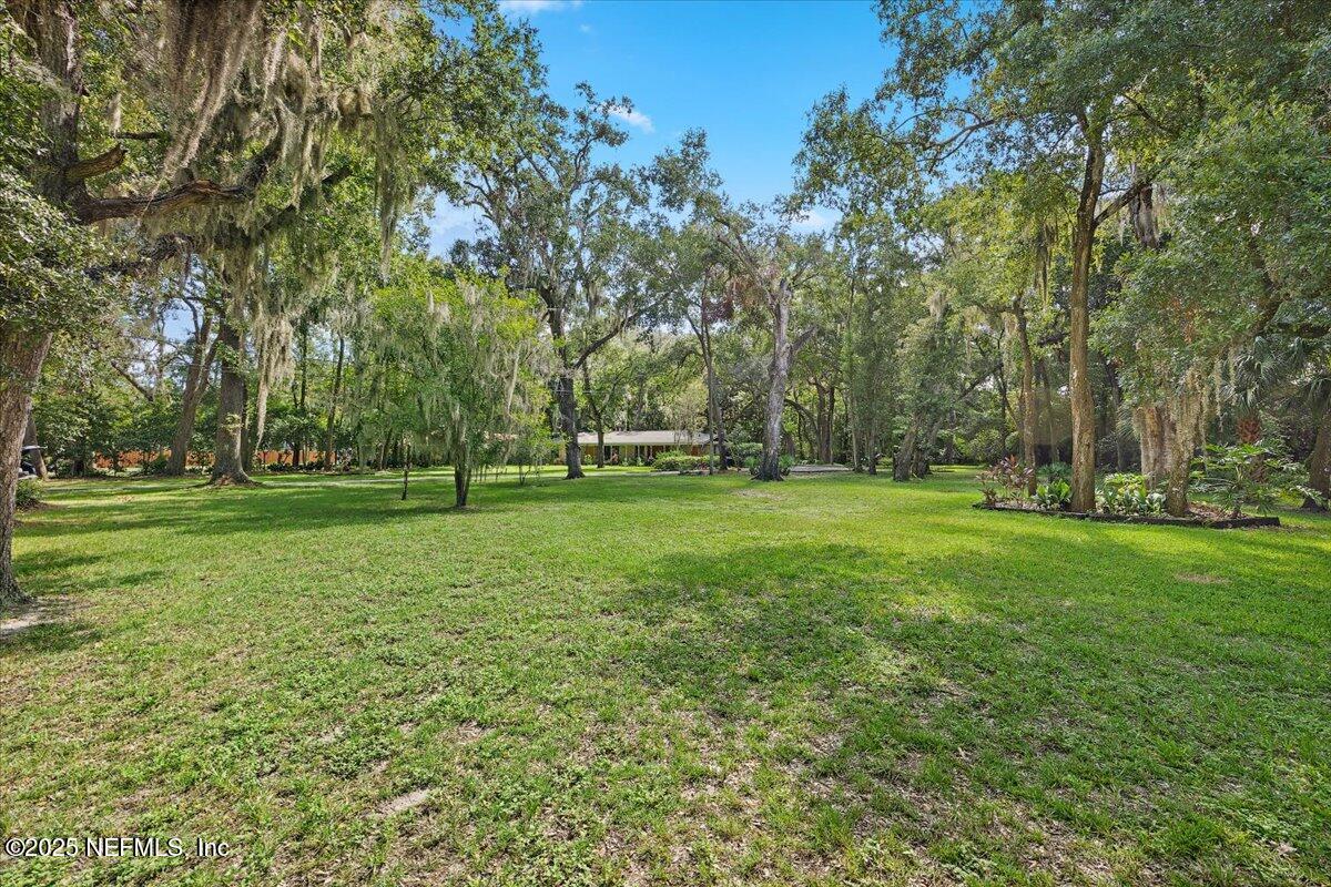 10567 Scott Mill Road Jacksonville, FL 32257 - Photo 28 of 28 a view of a park with large trees