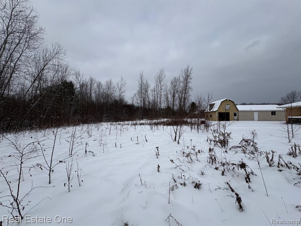 2855 East County Line Road Hale, MI 48739 - Photo 35 of 40