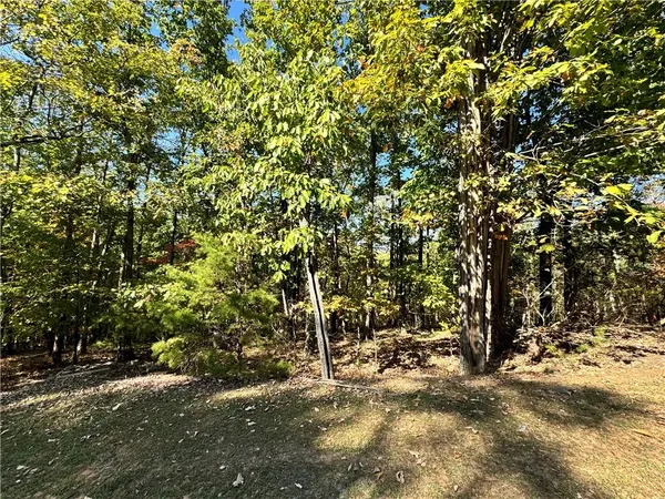 $55,000 | 0 Vistaview Parkway, Jasper, GA 30143