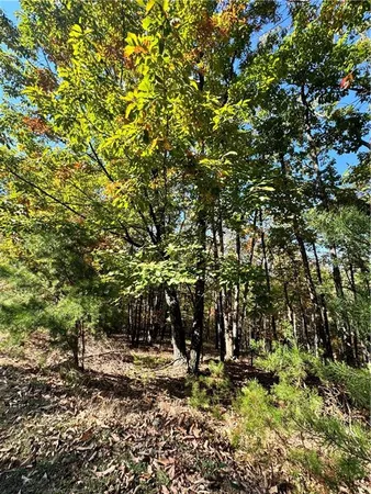 $55,000 | 0 Vistaview Parkway, Jasper, GA 30143