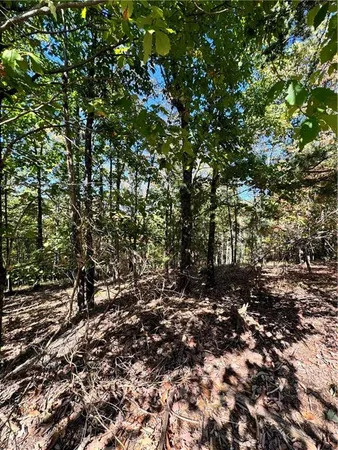 $55,000 | 0 Vistaview Parkway, Jasper, GA 30143