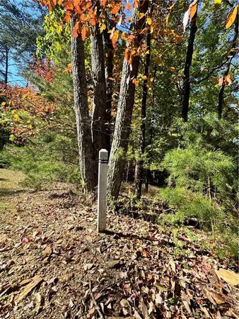 $55,000 | 0 Vistaview Parkway, Jasper, GA 30143