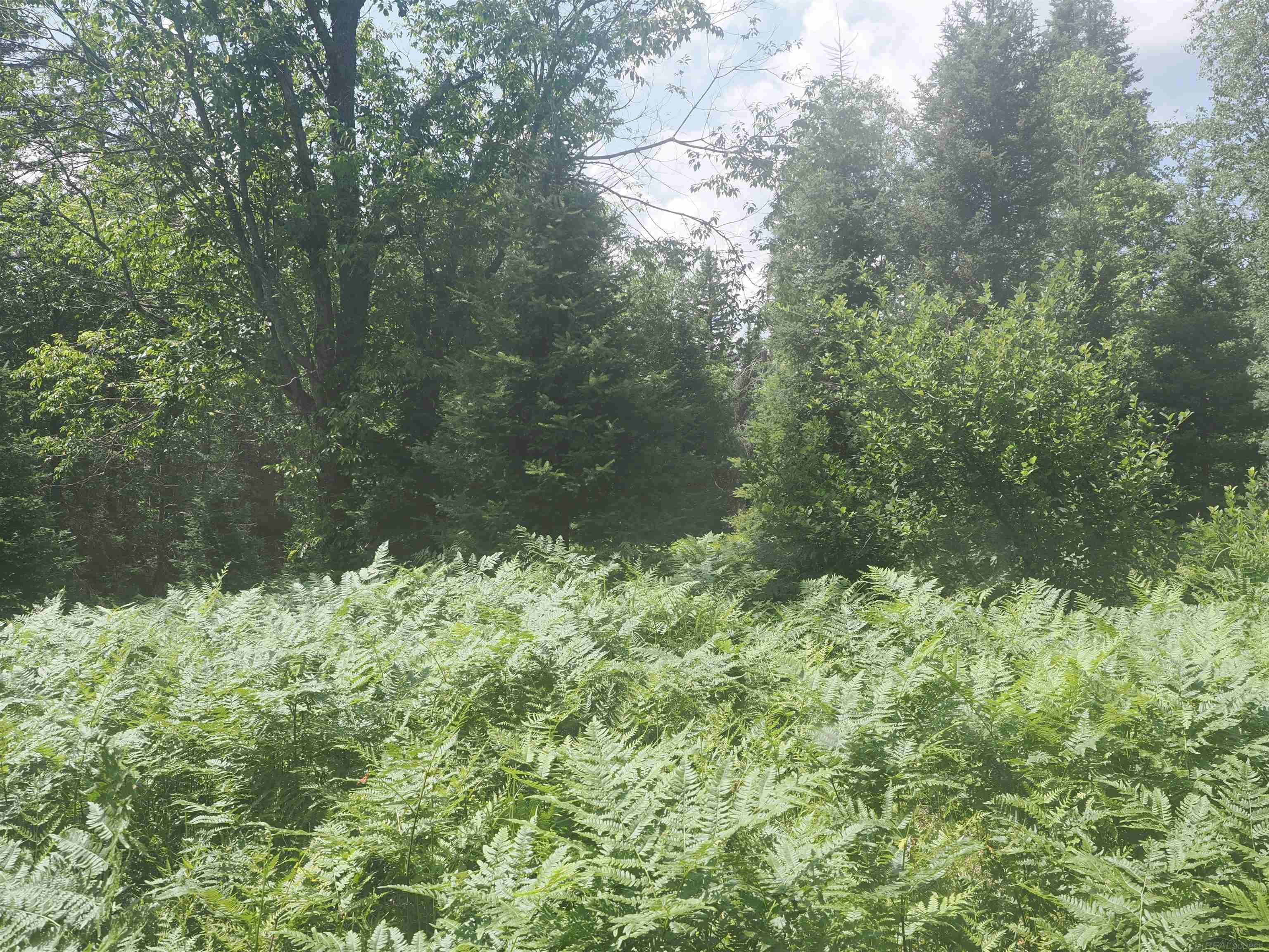 0 County Road Ishpeming, MI 49849 - Photo 67 of 85