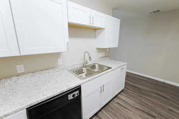 a kitchen with a sink and cabinets