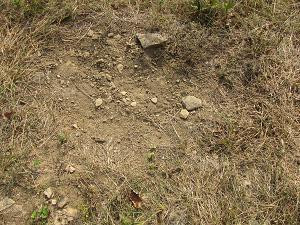 470 Gritton Road Salvisa, KY 40372 - Photo 73 of 96 Photo 75