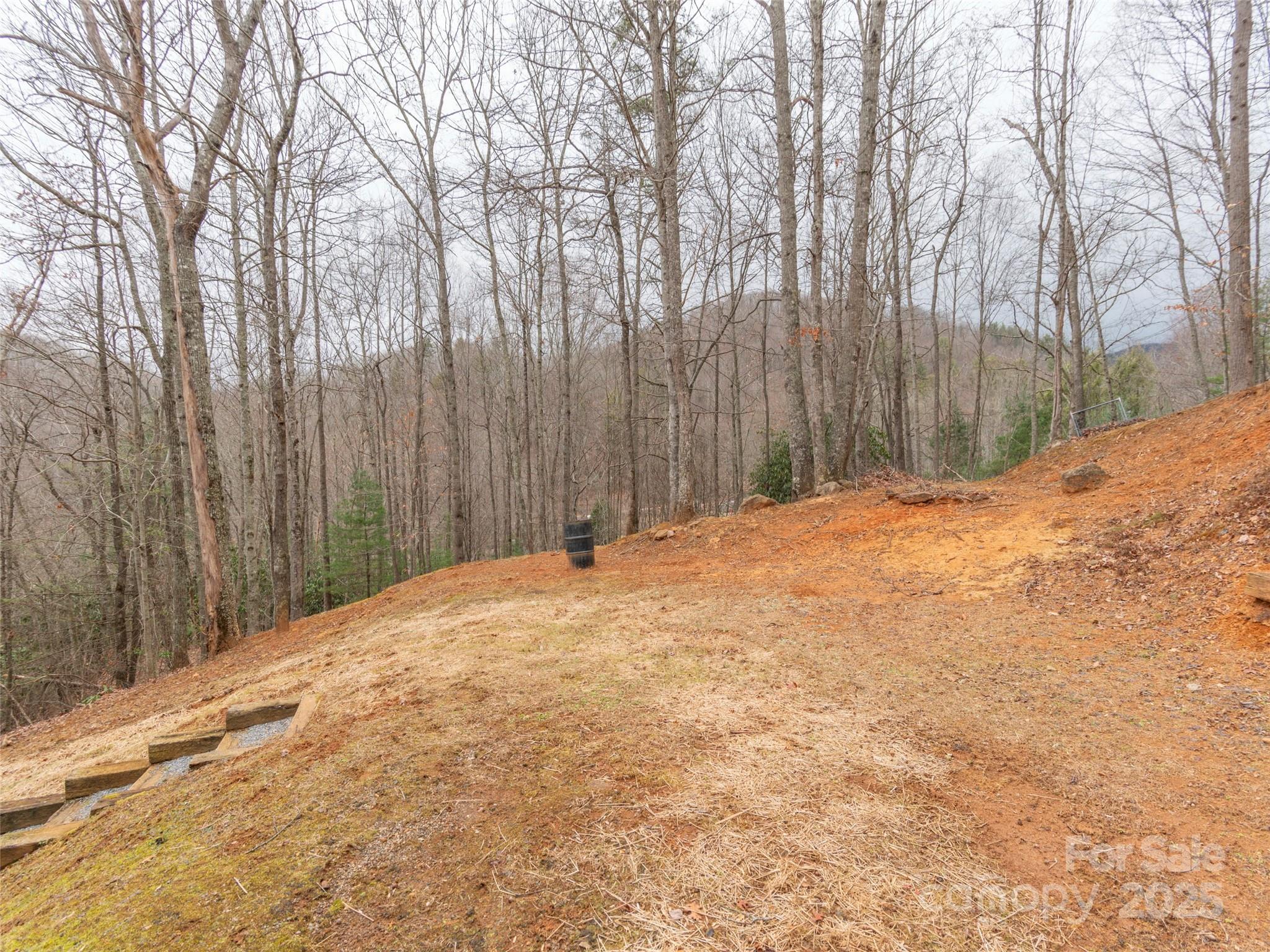 67 Ridge Haven Road Sylva, NC 28779 - Photo 21 of 25 Gallery Image 21