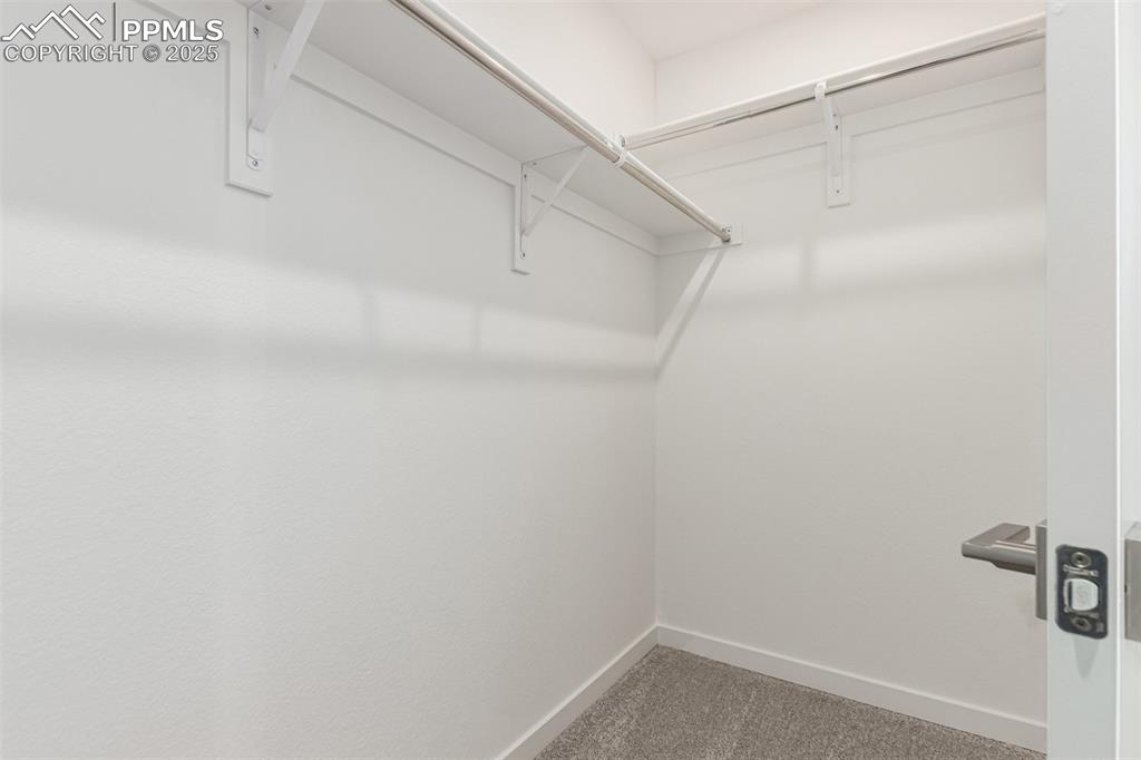 10771 Spalding View Colorado Springs, CO 80908 - Photo 22 of 42