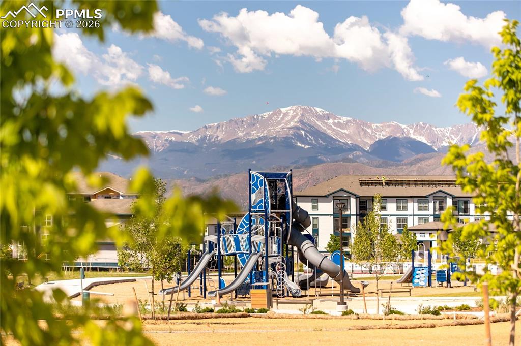 10771 Spalding View Colorado Springs, CO 80908 - Photo 40 of 42