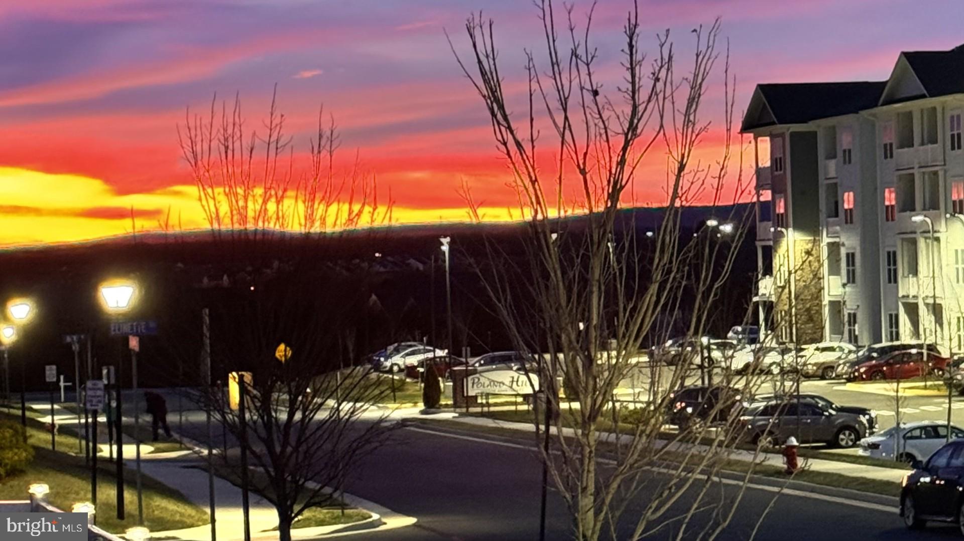 25635 Not Forgotten Terrace Chantilly, VA 20152 - Photo 35 of 59 amazing sunsets