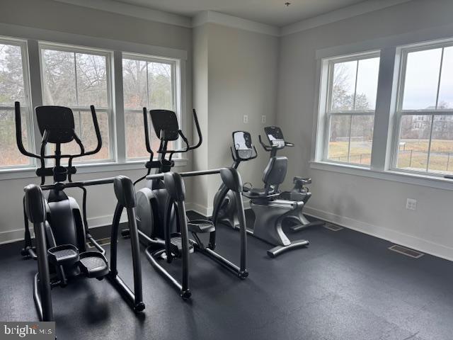 25635 Not Forgotten Terrace Chantilly, VA 20152 - Photo 55 of 59 community fitness center