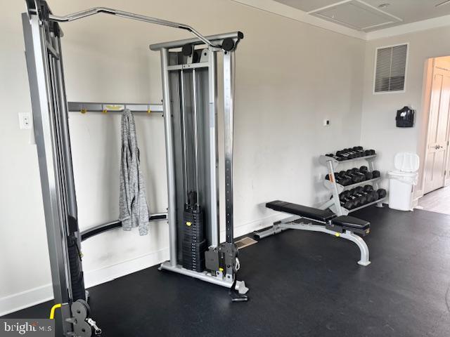 25635 Not Forgotten Terrace Chantilly, VA 20152 - Photo 56 of 59 community fitness center