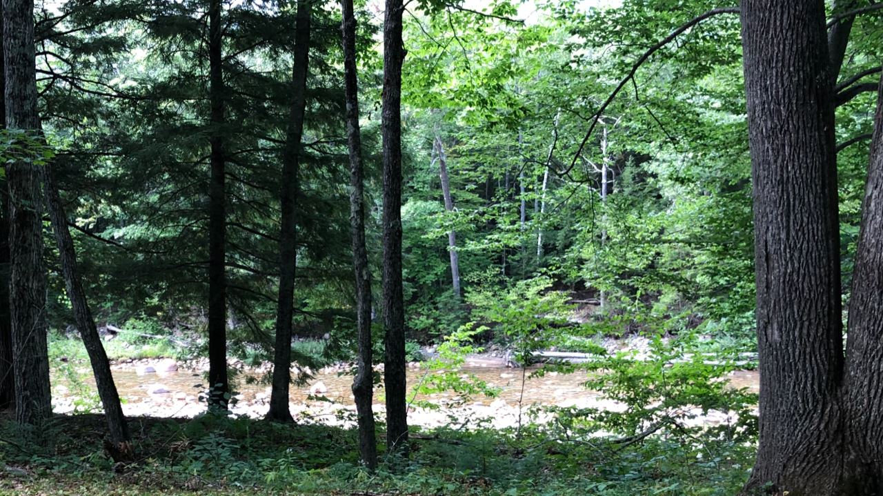 736 West Side Road Bartlett, NH 03860 - Photo 2 of 11