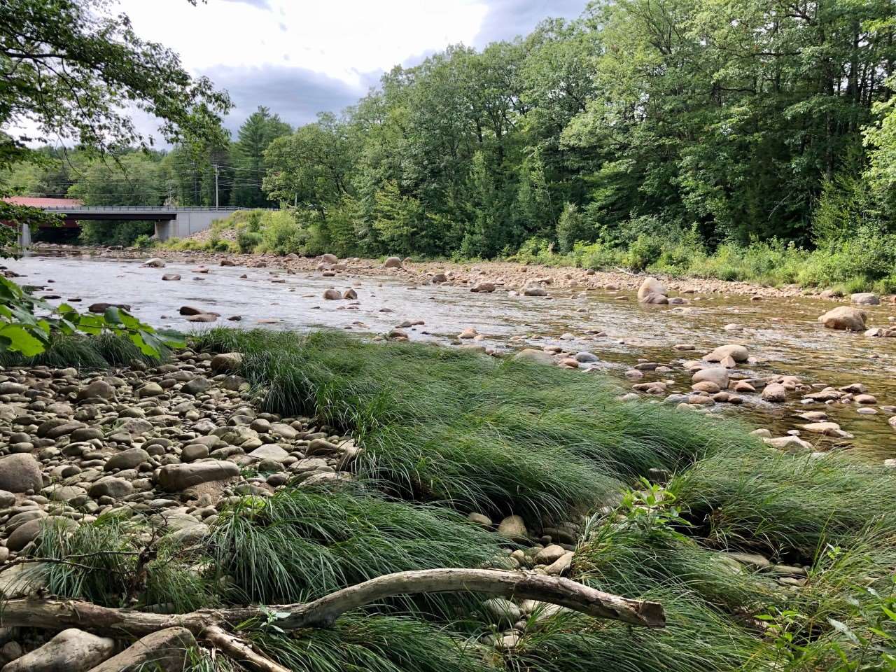 736 West Side Road Bartlett, NH 03860 - Photo 5 of 11