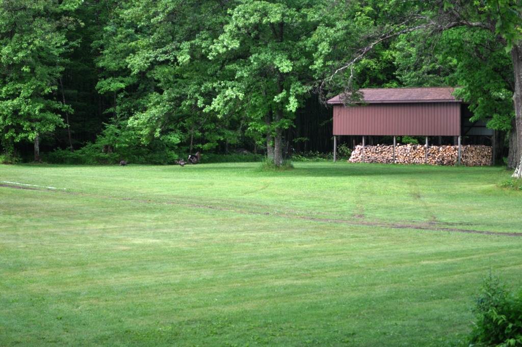 2649 West Walter Road Coleman, MI 48618 - Photo 27 of 51 1863009-26.JPG