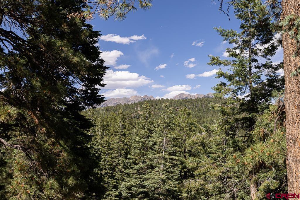 809 Columbine Road Durango, CO 81301 - Photo 33 of 39 Gallery Image 33