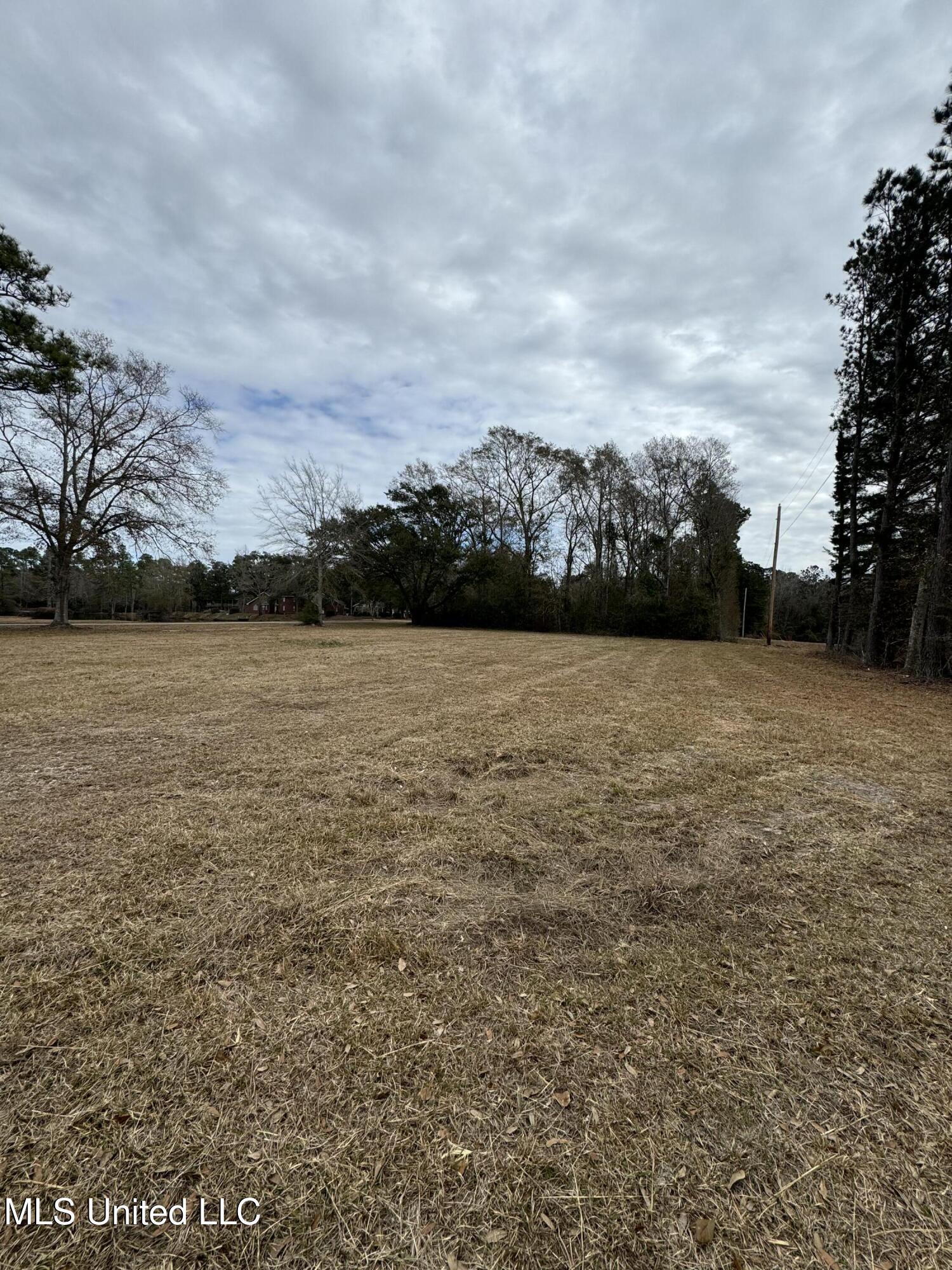 George Mitchell Road Carriere, MS 39426 - Photo 2 of 2 IMG-4878