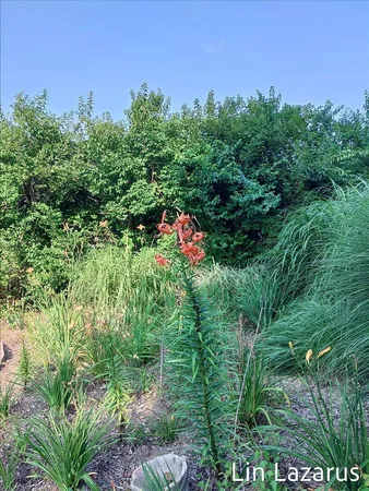 $399,900 | 12675 Harder Road, Three Rivers, MI 49093