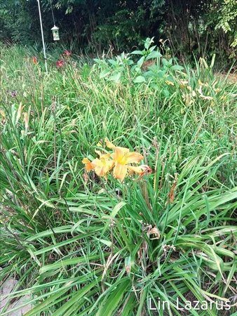 $399,900 | 12675 Harder Road, Three Rivers, MI 49093