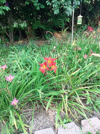 $399,900 | 12675 Harder Road, Three Rivers, MI 49093