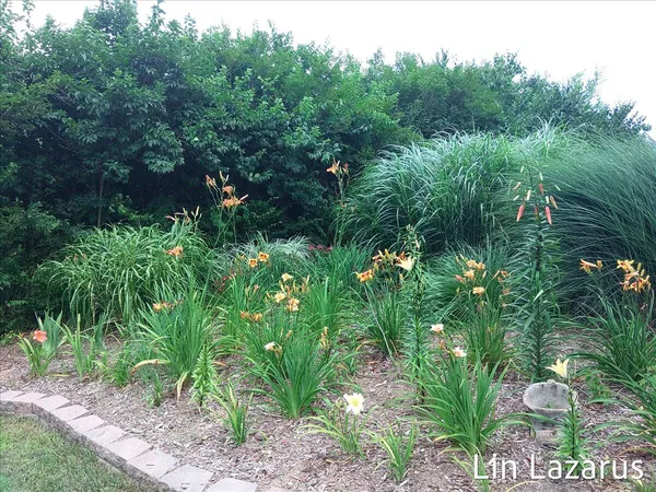 $399,900 | 12675 Harder Road, Three Rivers, MI 49093