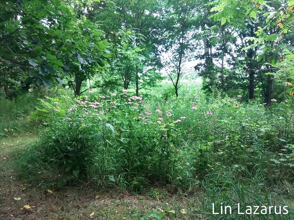 $399,900 | 12675 Harder Road, Three Rivers, MI 49093