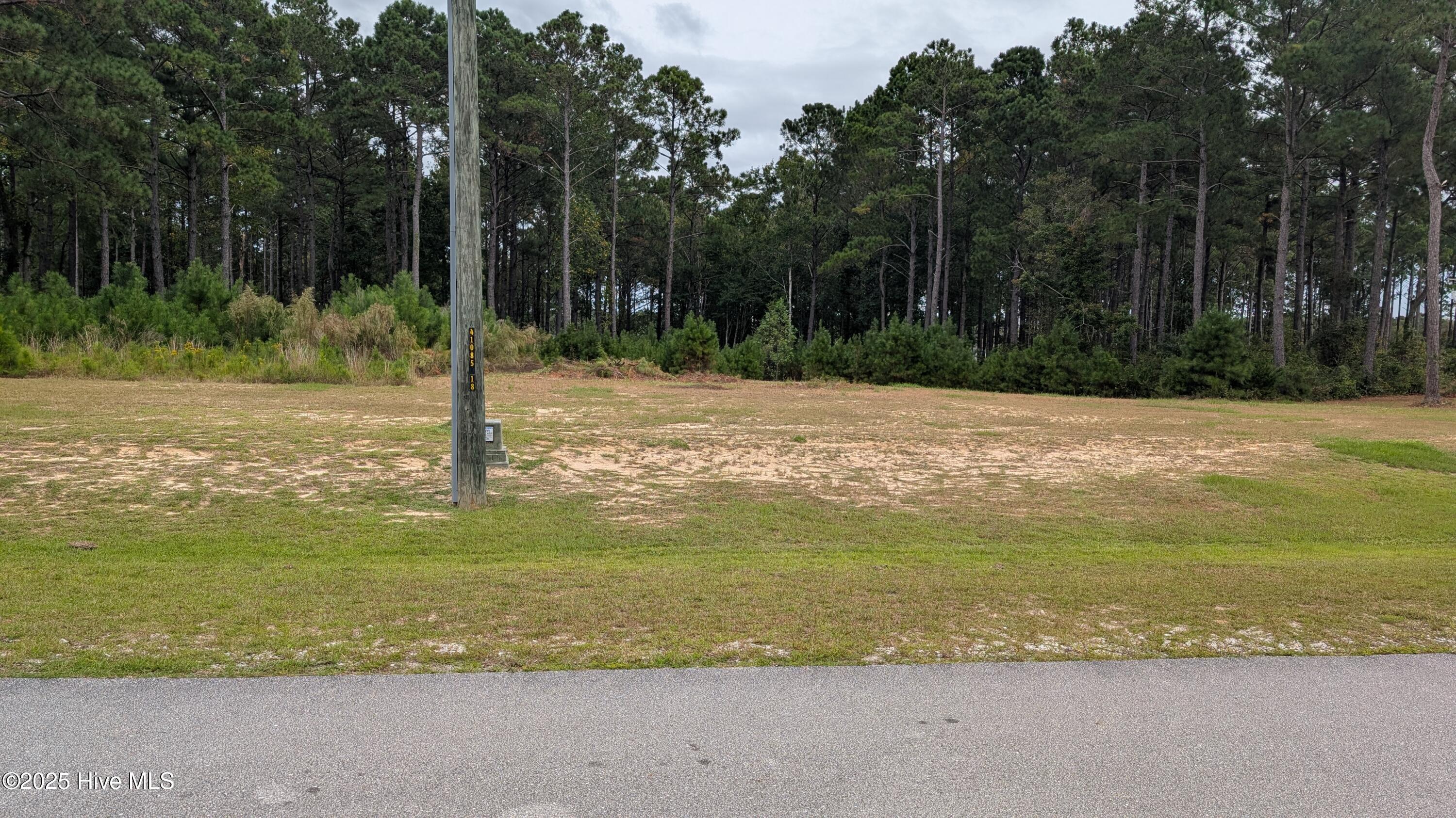 251 Gus Horne Road Holly Ridge, NC 28445 - Photo 1 of 10 Left Side of Lot