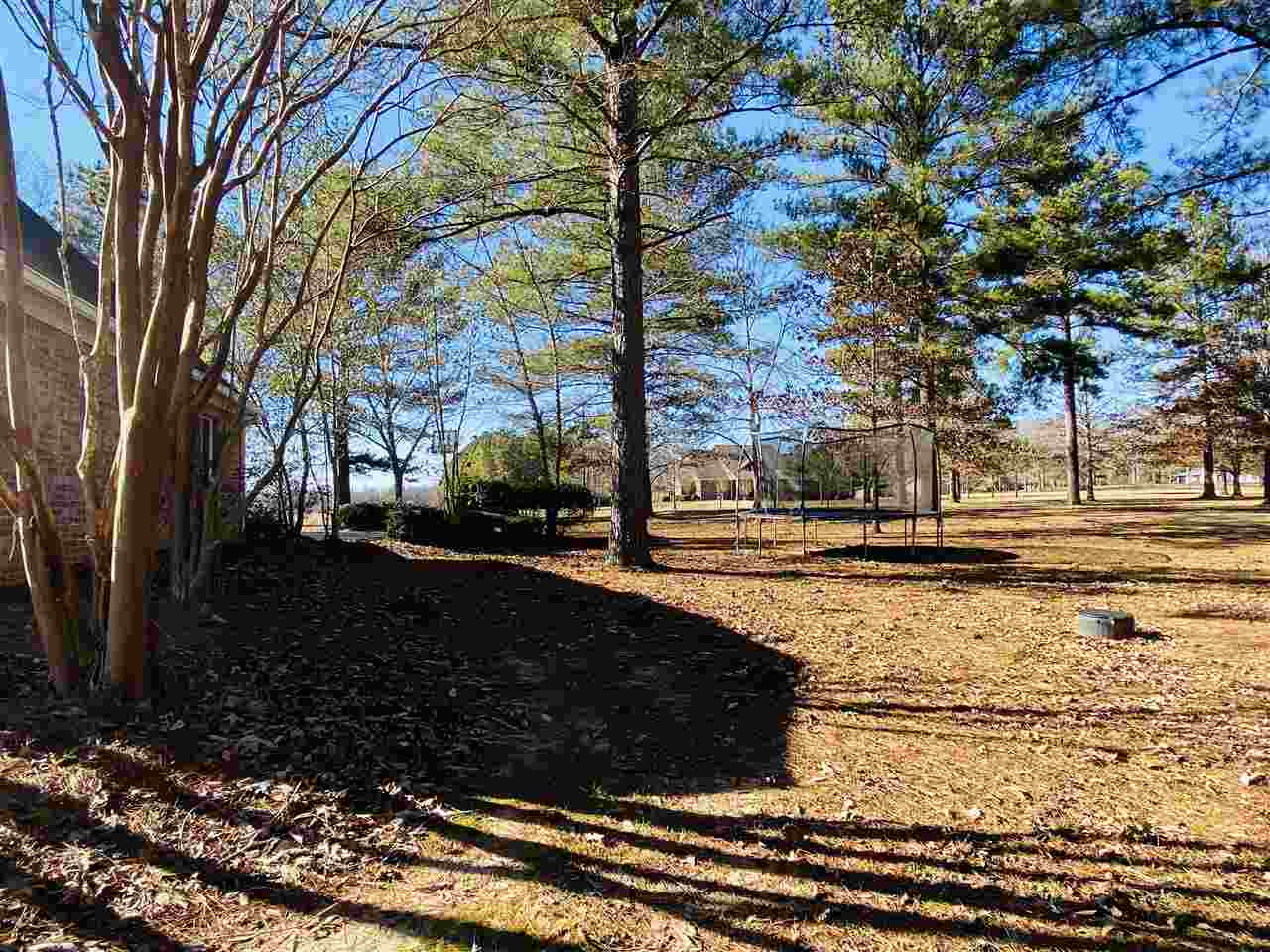 141 Deer Ridge Road Brandon, MS 39042 - Photo 42 of 45 Photo 42