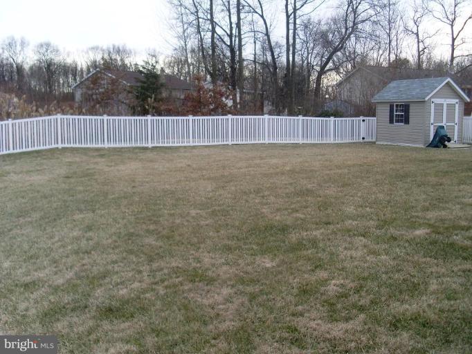 Back yard