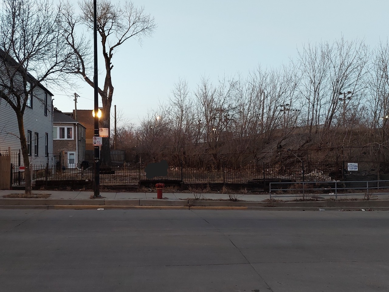 a city street with tall trees