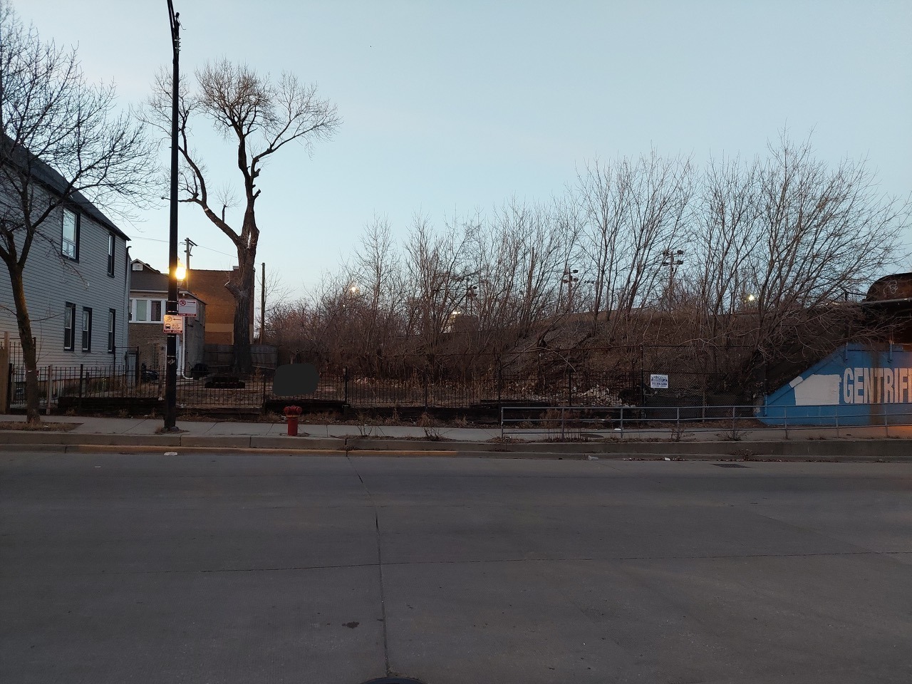 3902 West Armitage Avenue Chicago, IL 60647 - Photo 2 of 12 a street view with large trees