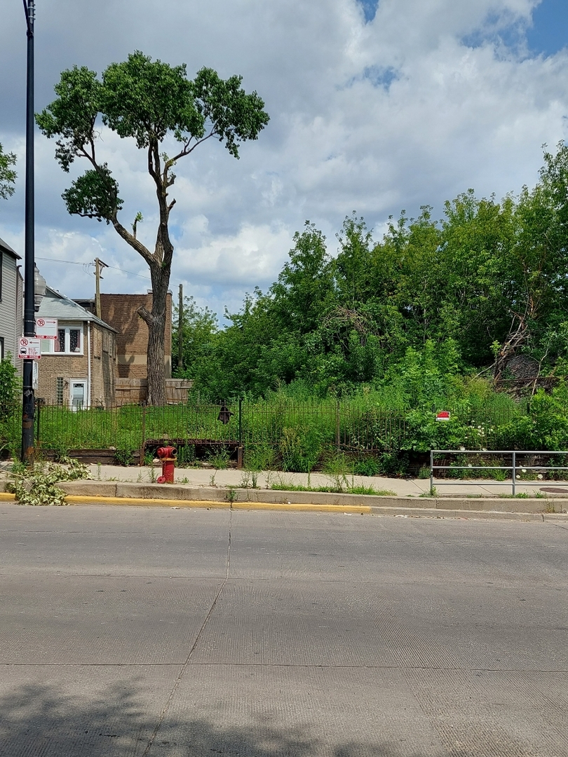 3902 West Armitage Avenue Chicago, IL 60647 - Photo 7 of 12 a view of a street with a building in the background