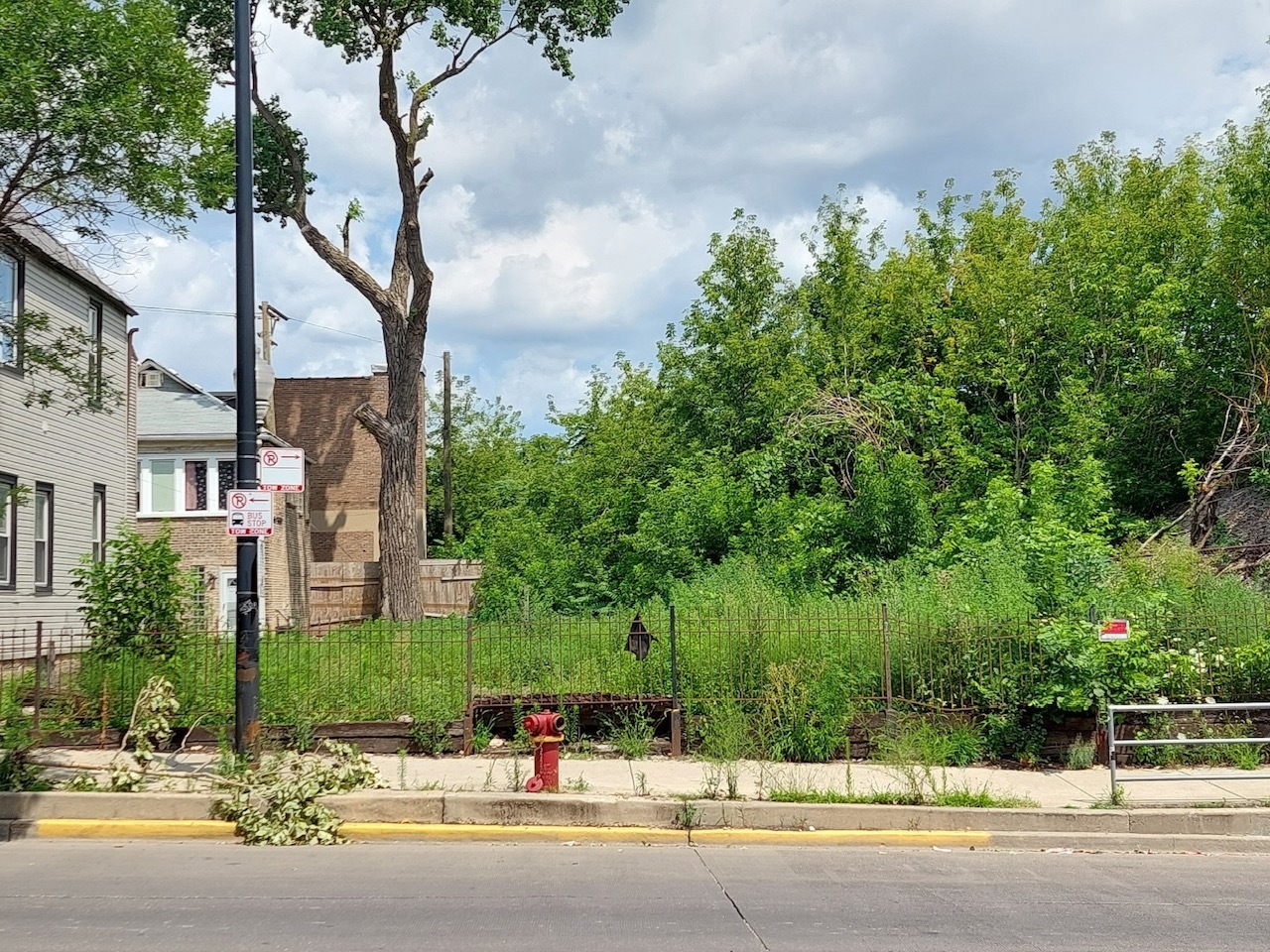 3902 West Armitage Avenue Chicago, IL 60647 - Photo 8 of 12 a view of a building with a street and trees
