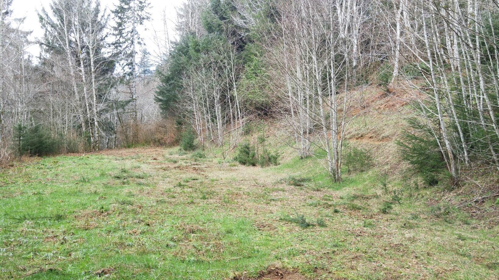 Tl202 Little Nestucca River Road Hebo, OR 97122 - Photo 9 of 10 8