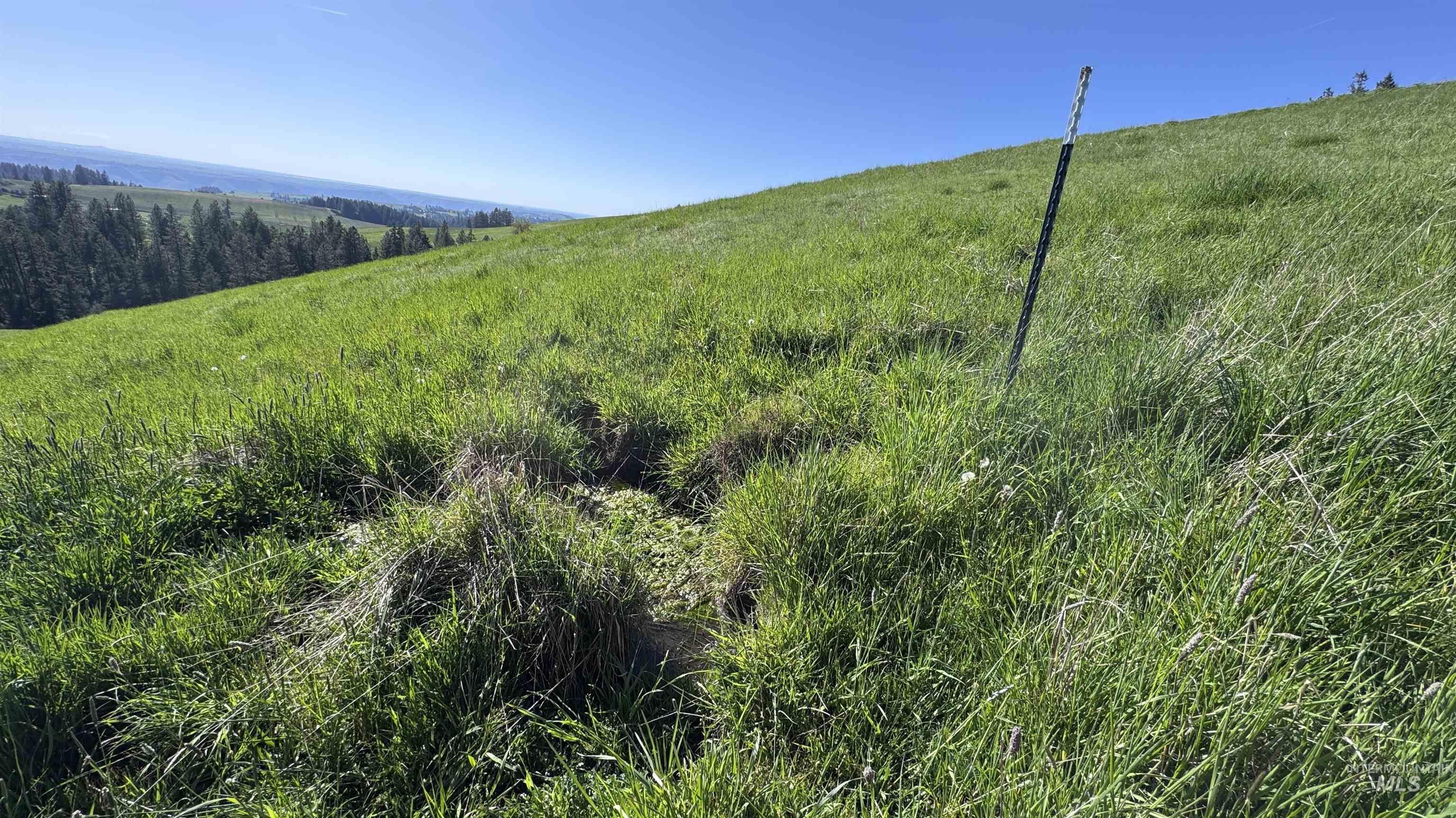Tbd Harrisburg Road Kamiah, ID 83536 - Photo 25 of 50