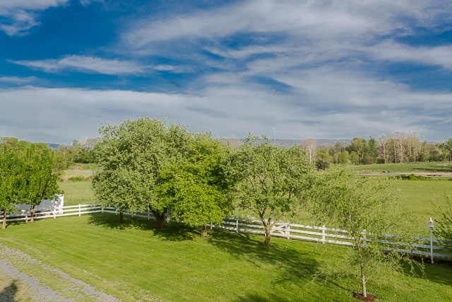 695 Plains Mill Road Timberville, VA 22853 - Photo 43 of 50 Gallery Image 43