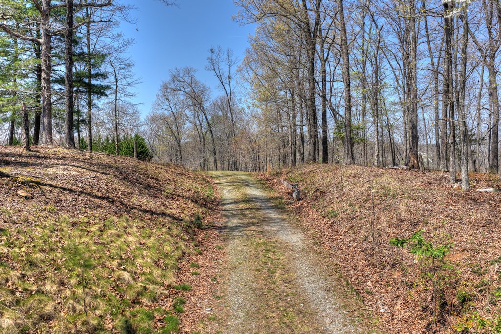 677 Barnes Chapel Road Blue Ridge, GA 30513 - Photo 37 of 40 Gallery Image 37