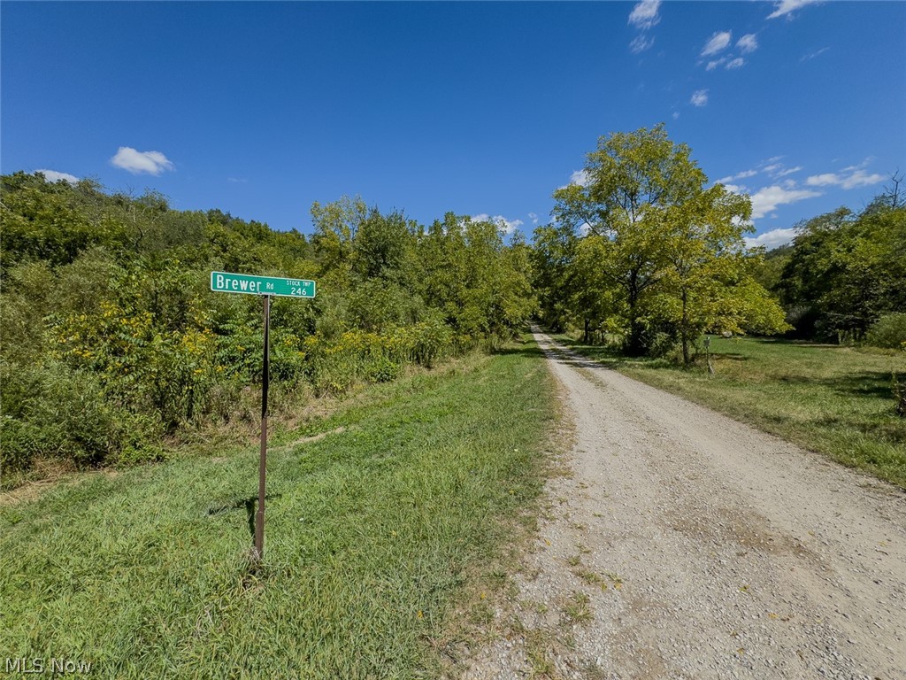 0 Brewer Road Cadiz, OH 43907 - Photo 2 of 37 View of road