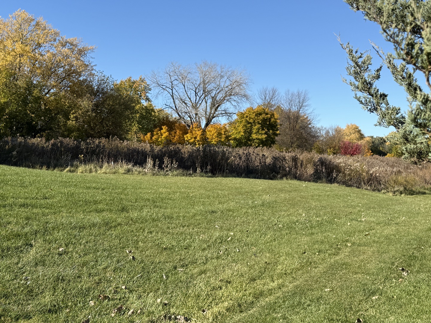 612 White Pine Road Buffalo Grove, IL 60089 - Photo 23 of 24 a backyard of a house with lots of green space