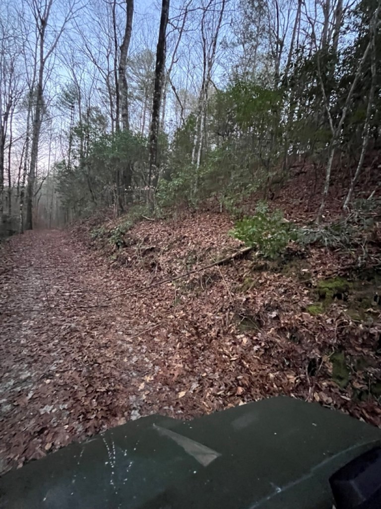 Tbd Cp Crk Road Murphy, NC 28906 - Photo 13 of 14